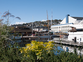 Lake Union View